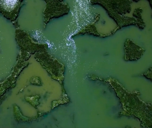 Aerial view of Maldon salt marshes