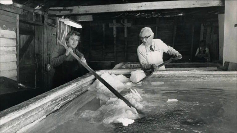 Historic photo of Osbourne family harvesting Maldon salt with salt rakes