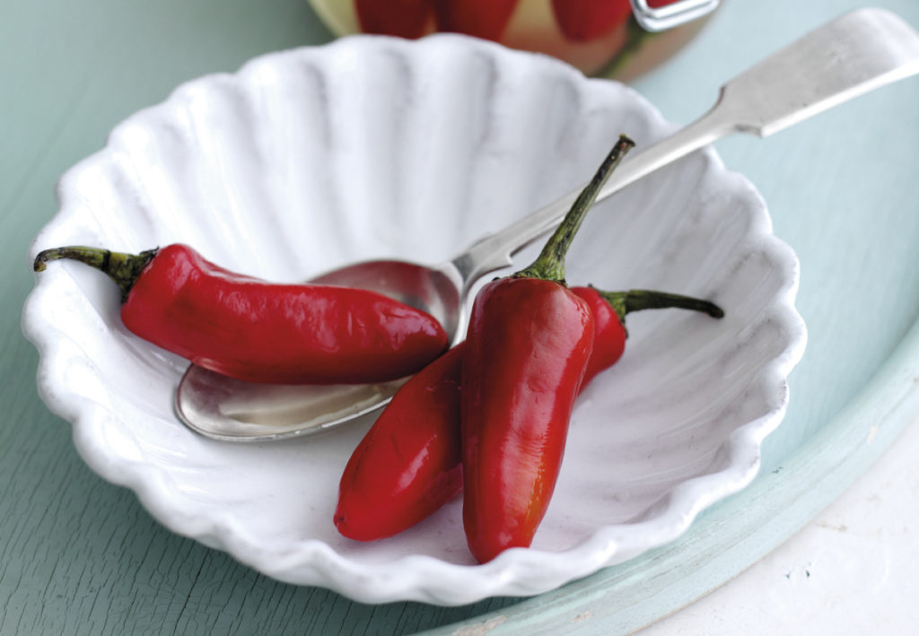 Salt preserved chillis in white bowl with spoon