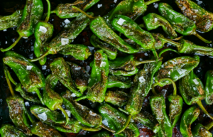 Roasted Padron peppers seasoned with sea salt