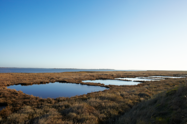 Guide to Sea Salt How it's Made & Where it Comes From