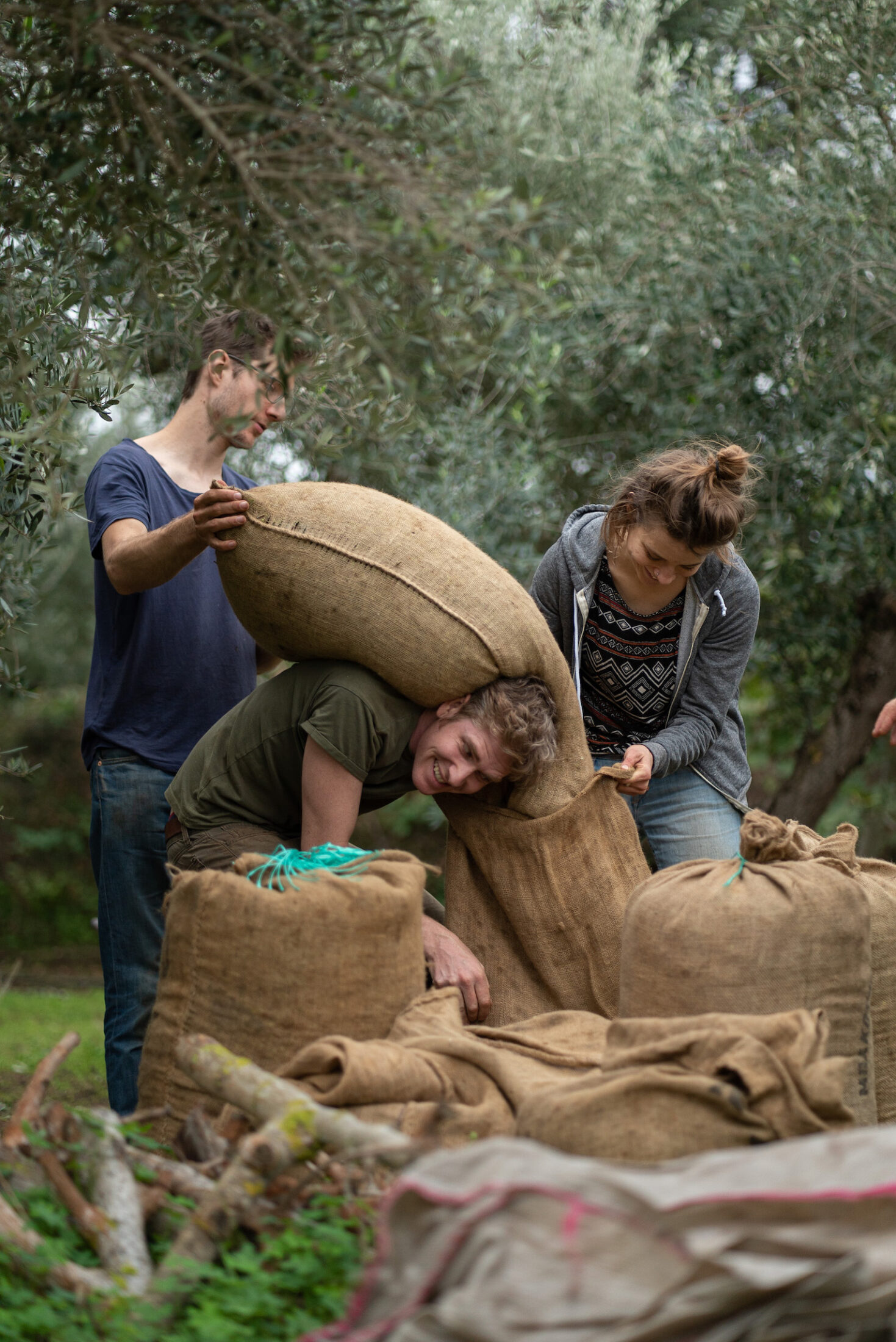 With Toil In Conversation with Honest Toil - Maldon Salt
